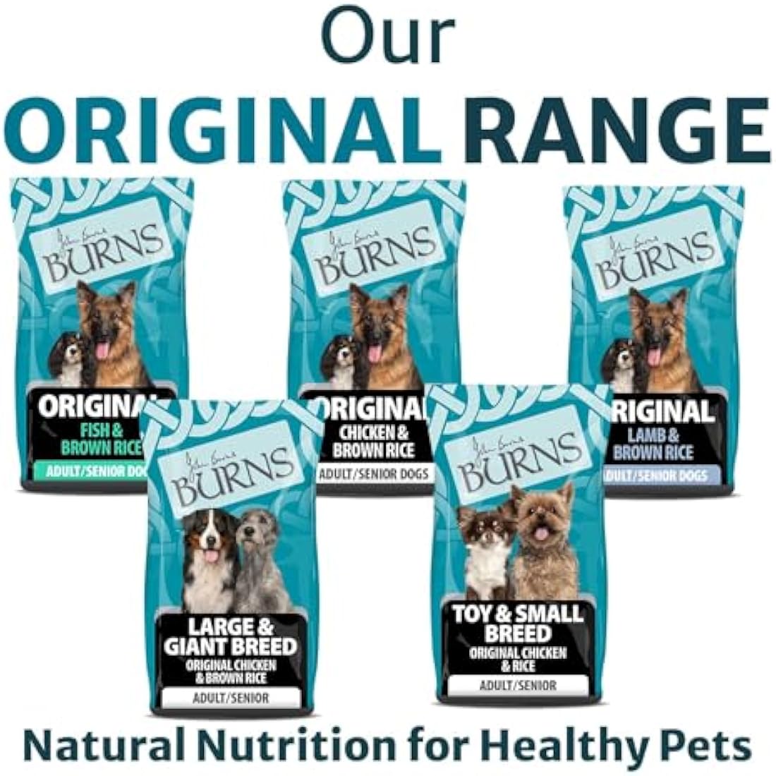 Burns Pet Nutrition Hypoallergenic Complete Dry Dog Food Adult and Senior Dog Original Fish and Brown Rice 2 kg