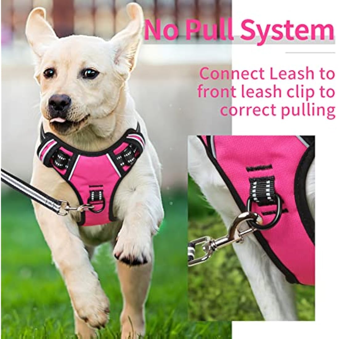HEELE Dog Harness Dog Harness Small Dog No Pull Harness with Soft Handle Reflective Puppy Harness Adjustable, Rose, S