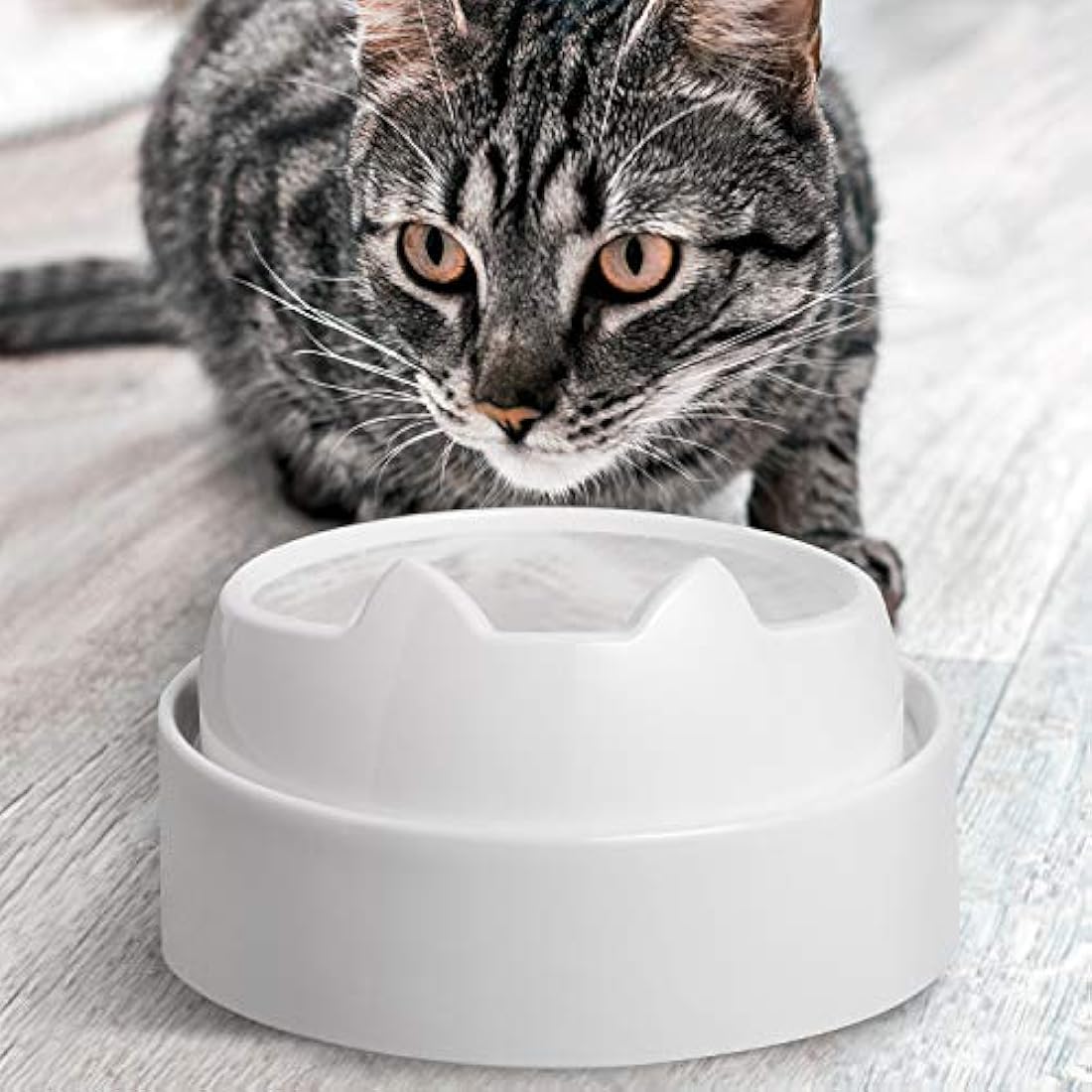 CatGuru Food Table for Cat Bowl, Non Slip Pet Feeding Station for Cat Food Bowls, Raised Stand for Food and Water Cat Bowls, Elevated Cat Feeder, Stress Free Pet Dish Stand