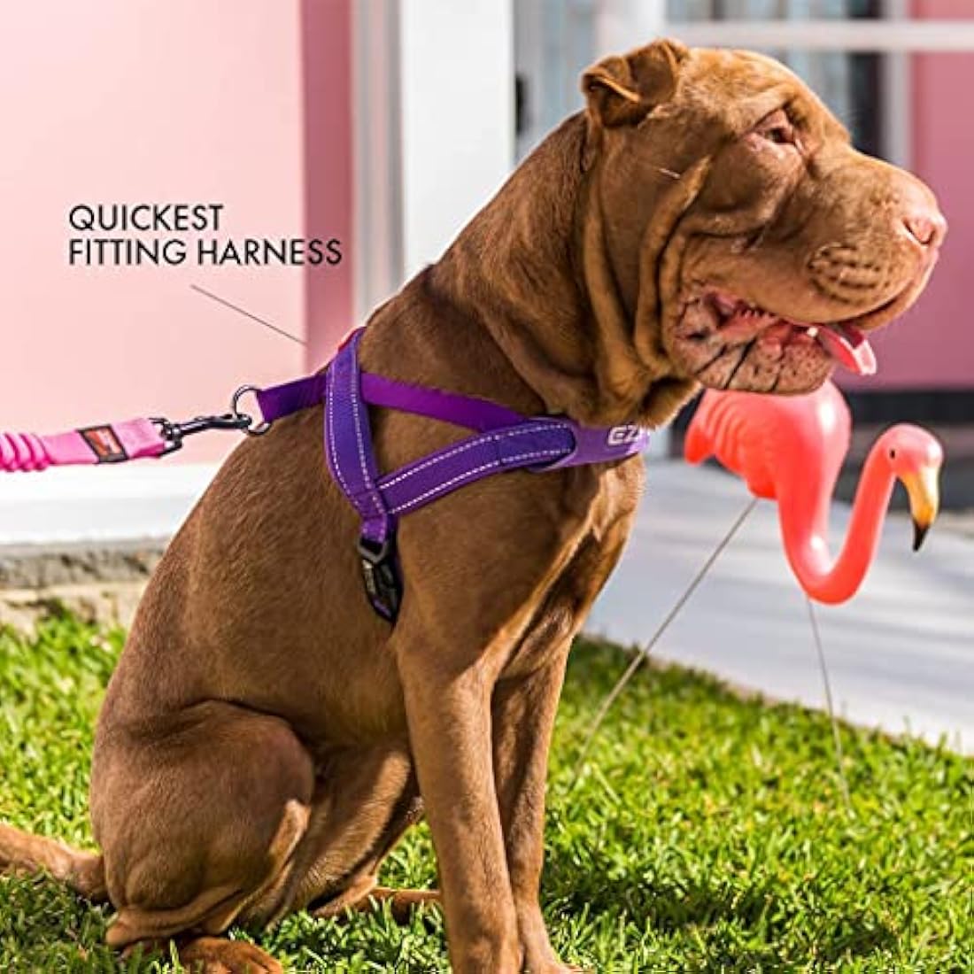 EZYDOG Quick Fit Dog Harness | Dog Harness, Reflective Stitching, Water Resistant Materials, No Pull (Corduroy, Black, Large)