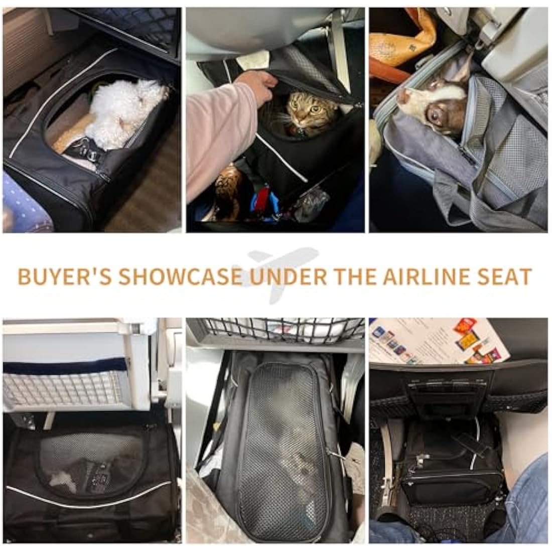 Petsfit Cat Carrier Airline Approved ,Large Cat Carrier,Foldable Cat Carriers Medium Two-Way Placement on Plane for Cats and Small Dogs, Black