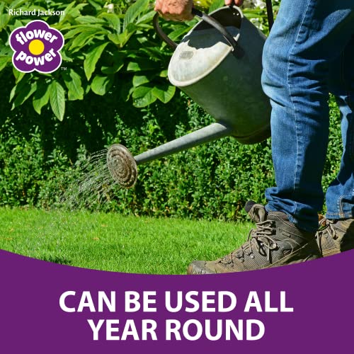 Richard Jackson Flower Power Premium Lawn Magic, Lawn Feed for Gardens, Greens the Grass & Strengthens the Roots (5L)