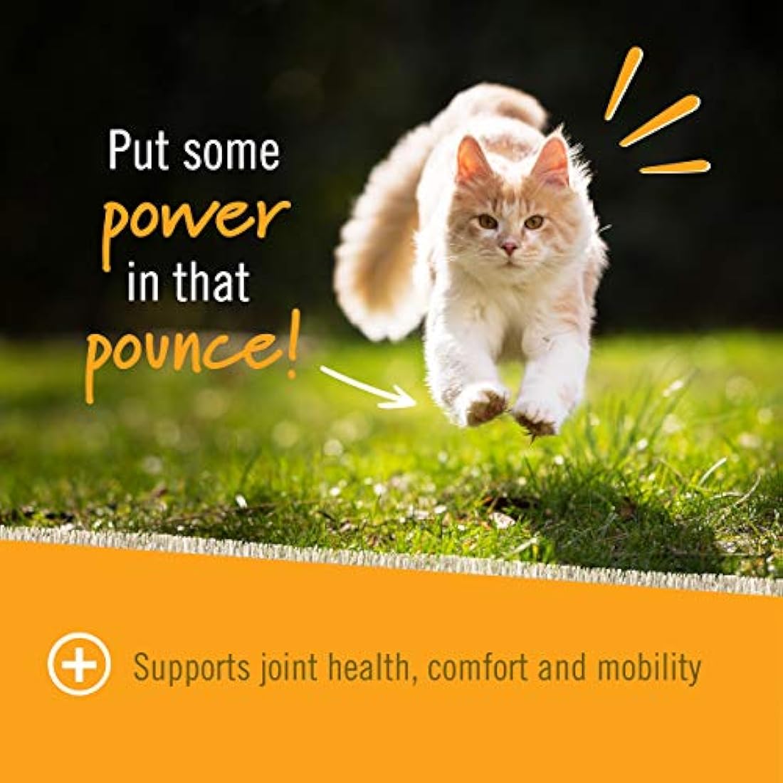 Pet Naturals - Hip + Joint for Cats, Daily Hip & Joint Support Supplement, 30 Chews