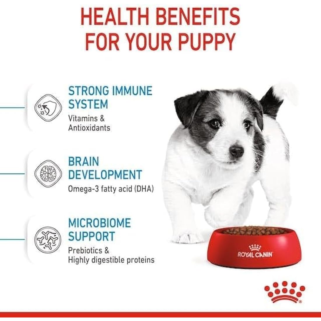 Royal Canin Mini Puppy Dry Dog Food 800g