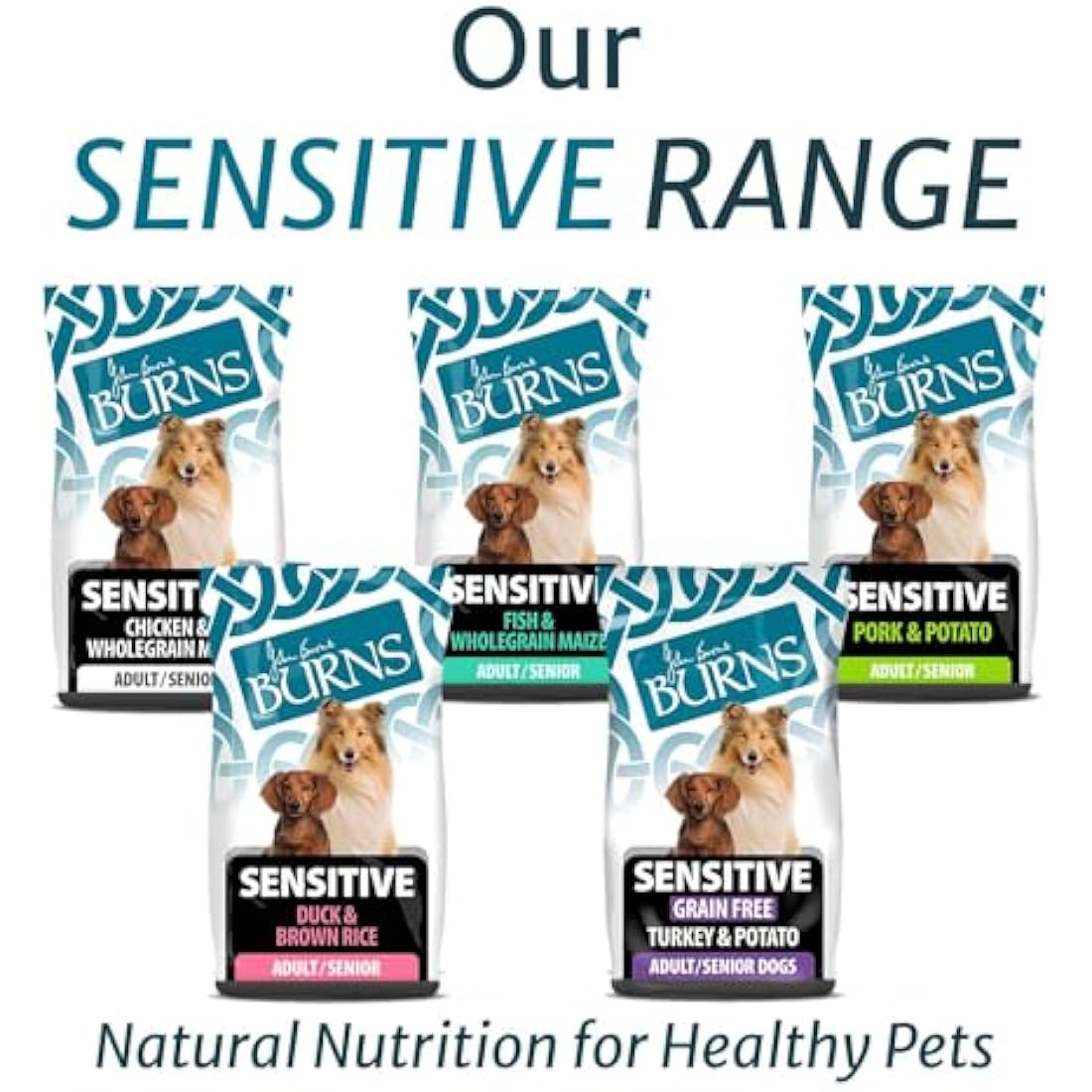 Burns Pet Nutrition Hypoallergenic Complete Dry Dog Food Adult and Senior Dog Sensitive with Pork and Potato 6 kg