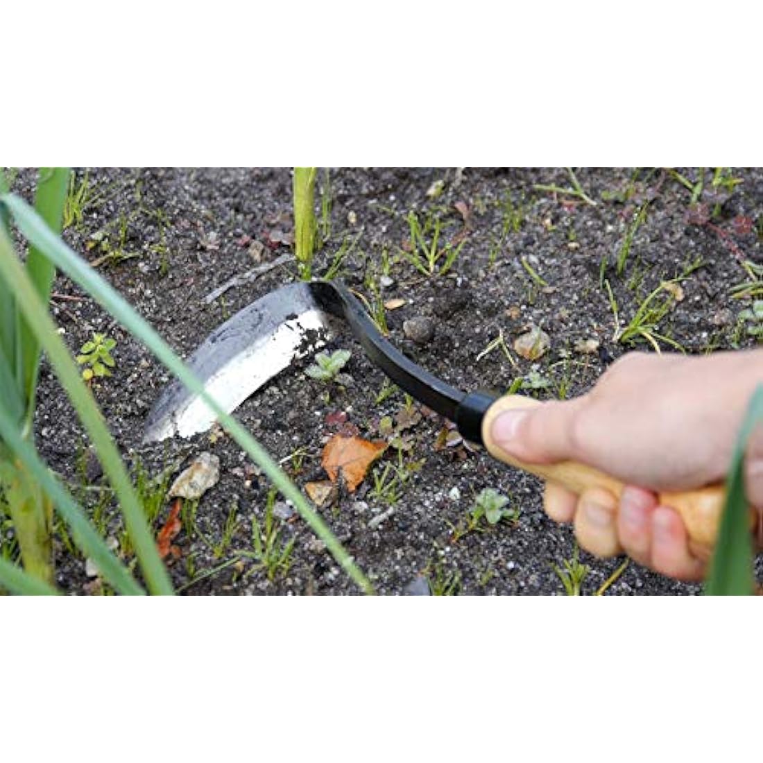 Burgon and Ball Razor Hoe. Right Handed