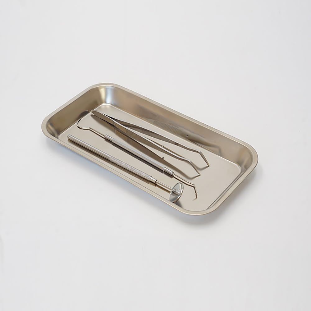 HugeDE 4 Pcs Rectangular Stainless Steel Trays Small Instrument Trays Metal Tattoo Trays Bathroom Vanity Organizer Holder Plates for Nail Salon