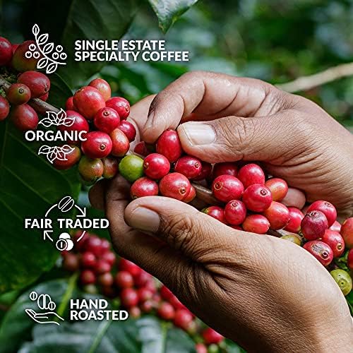 Outdoor Coffee Gift Set for Men & Women - 5 of The World's Finest Single Estate Specialty & Organic Coffees | Brew & Enjoy Anytime, Anywhere | Camping & Traveller Themed Assortment Box for Him & Her