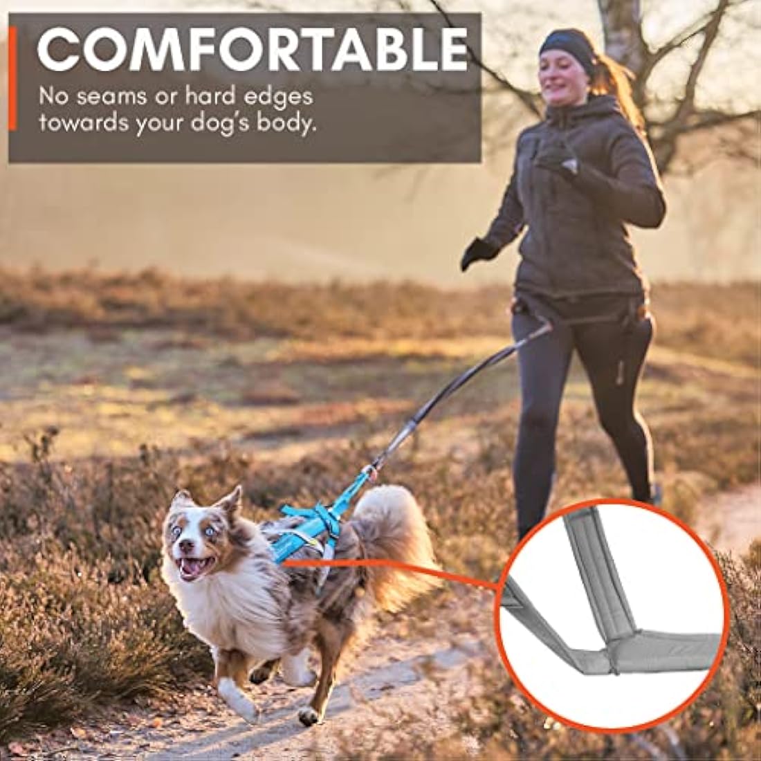 Non-stop dogwear Freemotion harness 5.0 Dog Pulling Harness for Sports like Running, Biking and Skiing with Dogs, Professional Adjustable Dog Harness, Blue/Gray, Size 6