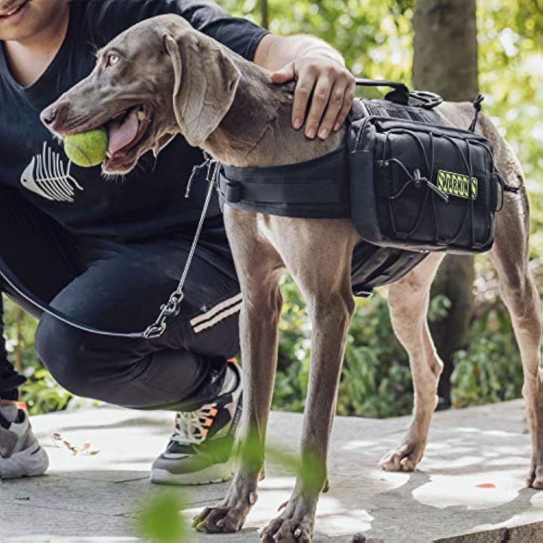 OneTigris Mammoth Dog Backpack 2.0 Version Tear Camping Hiking Dog Backpack for M/L Size Dogs (Black, M)