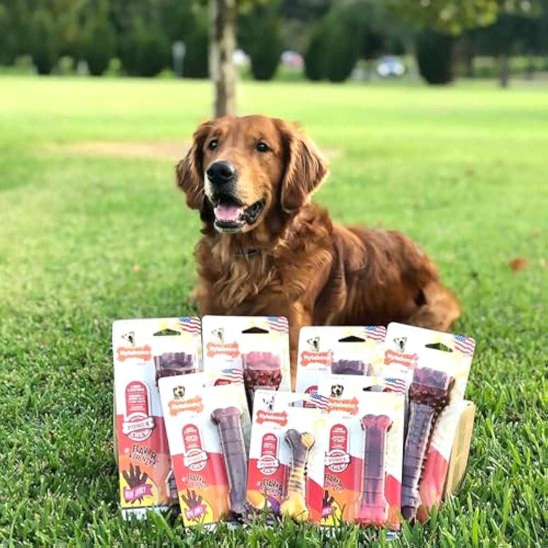 Nylabone Extreme Tough Dog Chew Toy Bone, Durable, Cleans Teeth, Beef Jerky Flavour, Medium, for Dogs Up to 16 kg