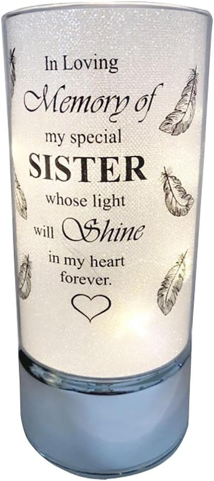 David Fischhoff Family Members Light Up Memorial Light Tube Sparkly Shimmering Indoor Decoration Sister