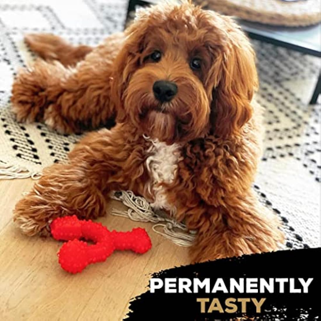 TastyBone TrioBone Nylon Dog Chew Toy for Small Dogs (Bacon) - Indestructible for Aggressive Chewers, Everlasting Flavour, Strong Healthy Teeth, Made in the UK