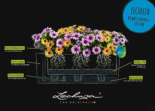 Lechuza BALCONERA Stone 50 Self Watering Planter Plastic Indoor/Outdoor Flower Plant Pot Table and Window Box with Drainage Hole H19 L50 W19 cm Sand