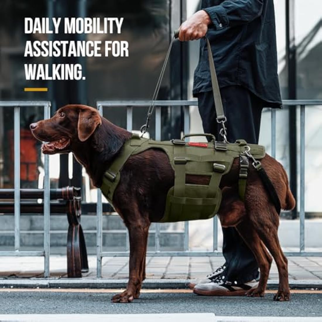 OneTigris Dog Lift Harness for Large Dogs, Dog Support Sling for Back Legs, DOG Lifter with Handles Invictus Multifunctional Mobility Assistance Vest Pet Hip Support Brace (Olive, L)