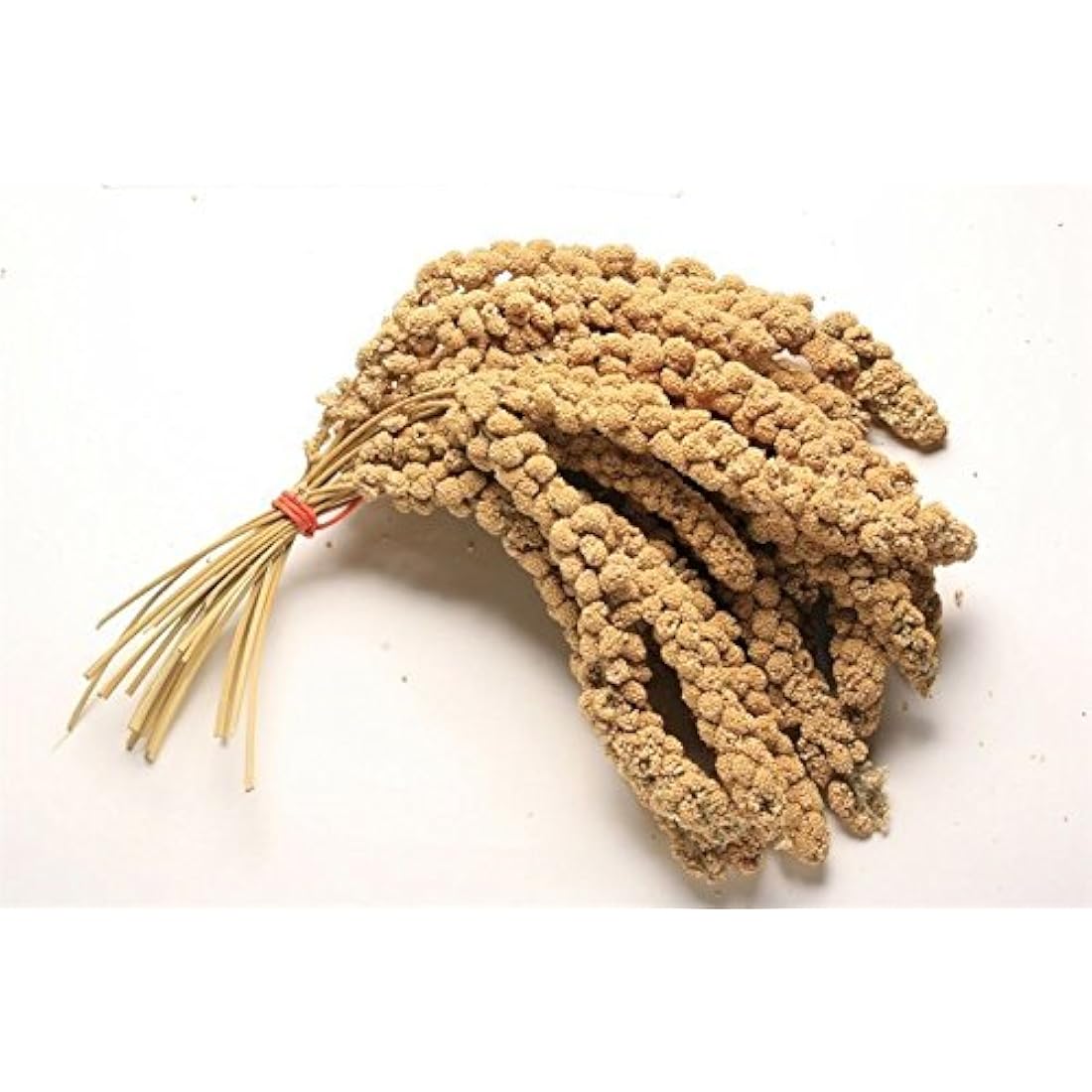 Pet Ting 1Kg Millet Spray for Birds and Small Animals - budgies, Canaries, Cocktaiel, Parrots ETC