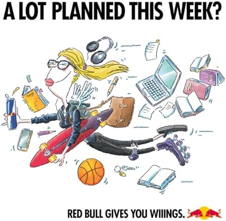 Red Bull Energy Drink 250 ml x 24