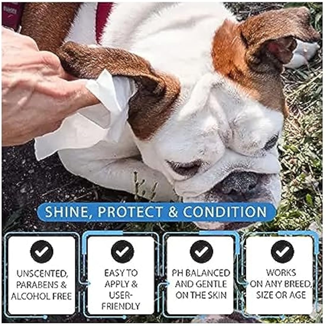 Pet Wipes All Purpose Pet Wipes for Dogs & Cats Alcohol Free Cleaning Wipes For Dogs & Cats (180 Wipes)