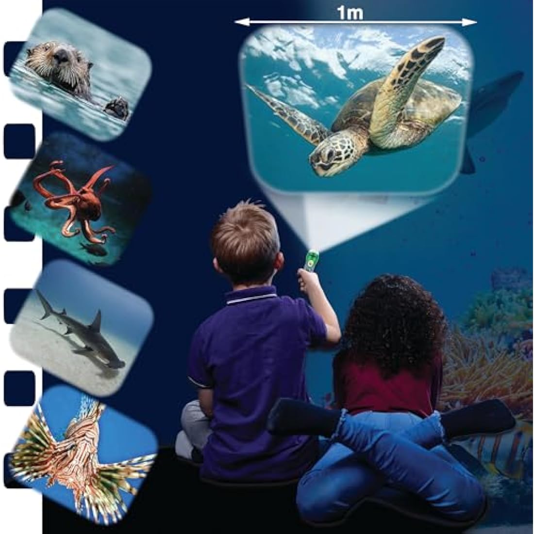 Natural History Museum Sea Creatures Stem Torch & Projector – 24 Ocean Animal Image Slides, Precise Projections up to 1 Metre Wide, Interactive Kids Fish Flashlight Toy