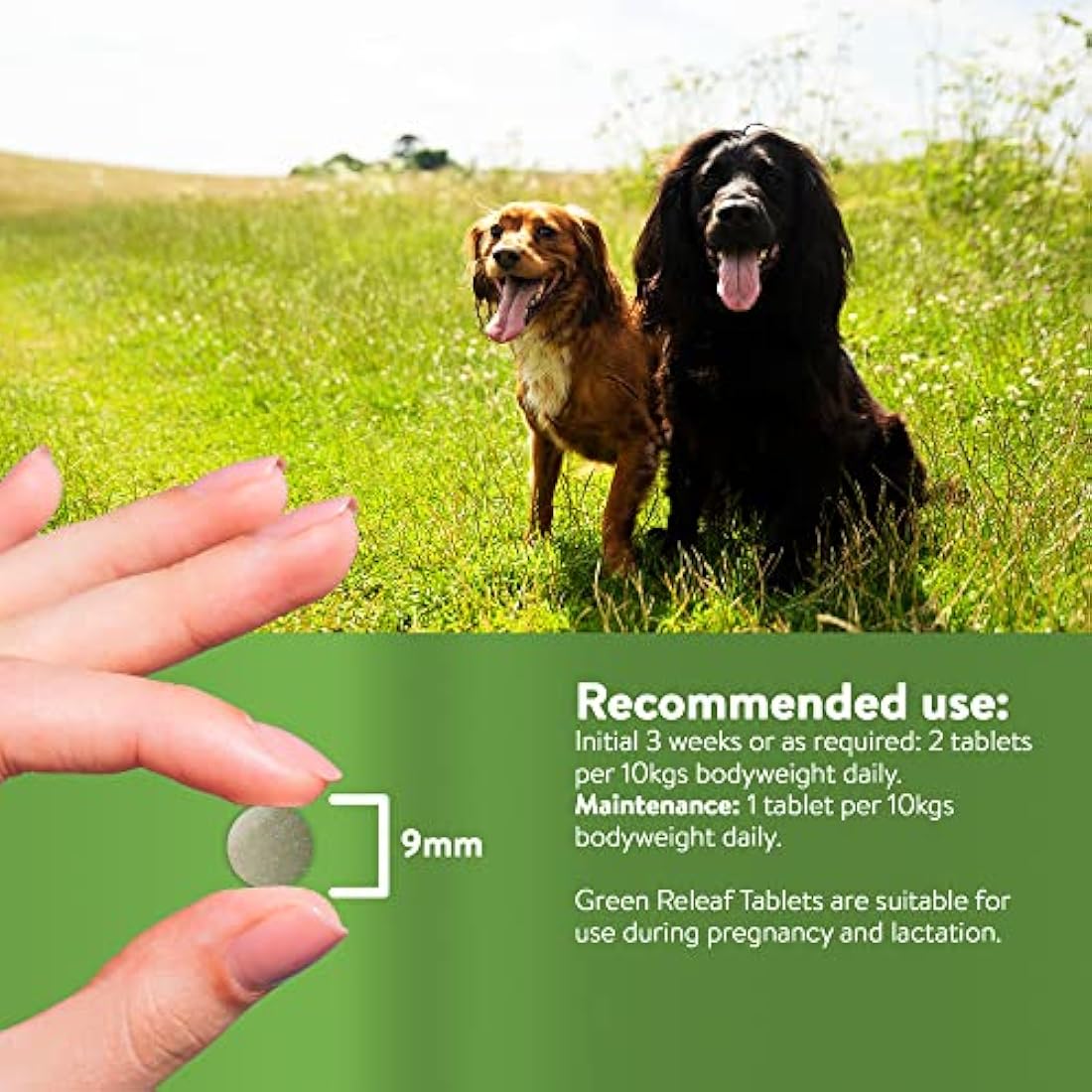 Dorwest Green Releaf Tablets, 500 Tablets, Natural Supplements for Dogs and Cats – For Healthier Skin, Joints, and Urinary Systems in Pets