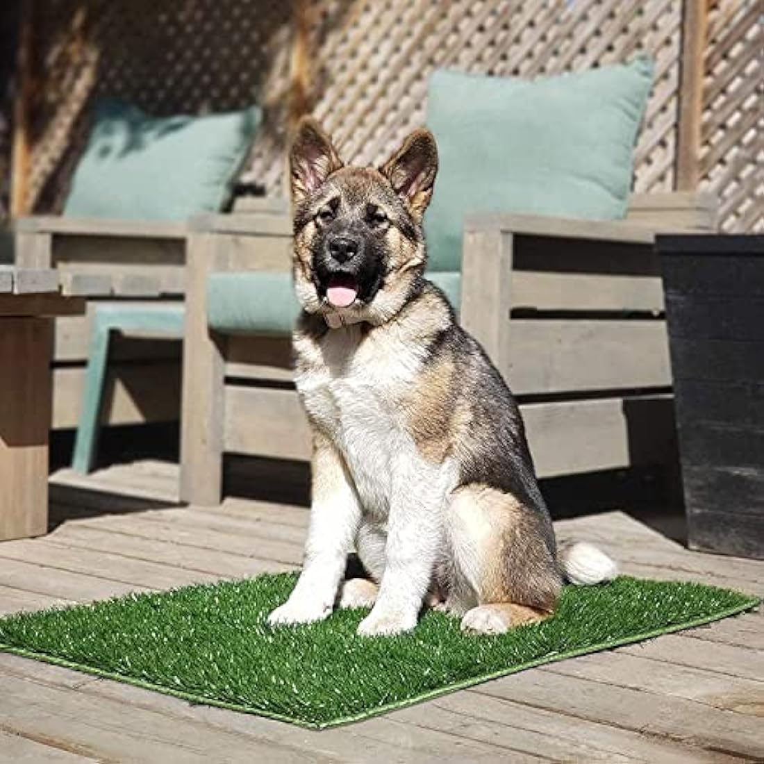 Hompet Dog Grass Pee Pads, Dog Training Pad, Artificial Grass Turf, Puppy Potty Pad Training Pad, Replacement Grass for Indoor and Outdoor Use (2PCS-Replacement Grass)