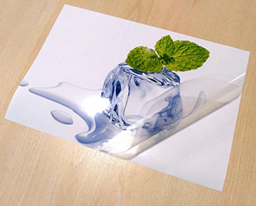 Evergreen Goods 50 Sheets A4 Waterproof Translucent Glossy Vinyl | Inkjet and Laser Printable | Semi-Transparent Low Opacity Self Adhesive PVC Sticker | Suitable for Cricut & Silhouette