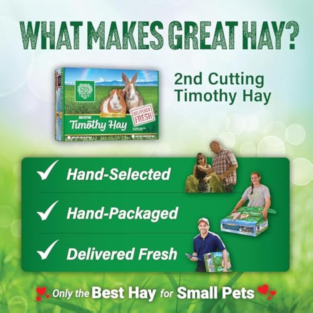Small Pet Select 2nd Cutting Timothy Hay for Rabbit, Guinea Pig, Bunny, Chinchilla and Other Small Animals, Premium Natural Hay Grown in The US, Perfect Blend Pet Food, 5 LB (2.26kg)