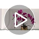 LESING Artificial Orchid Flower with Vase, White Orchid Bonsai Faux Orchid Phalaenopsis Plant Pot Arrangements for Home Decoration (White,Silver Vase)