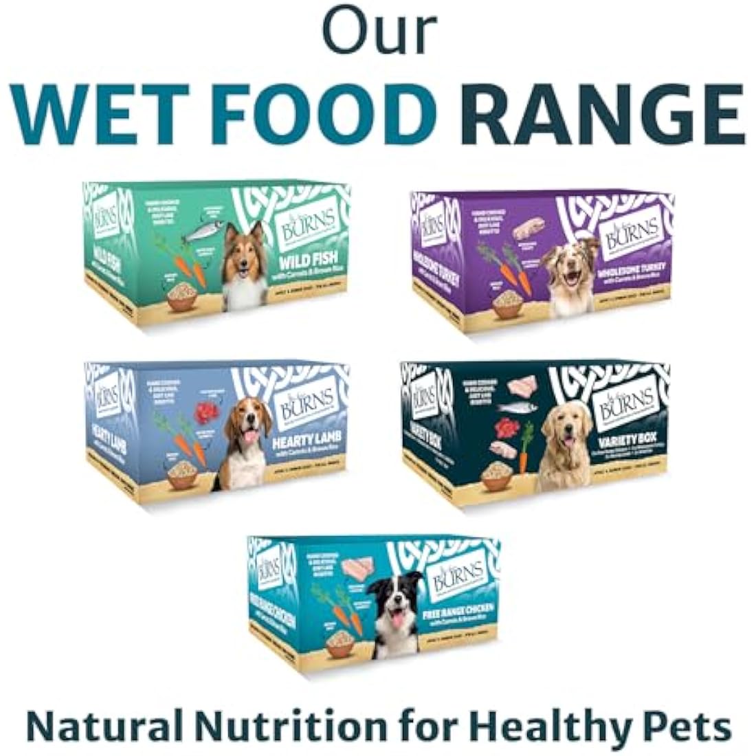 Burns Pet Natural Nutrition Adult & Senior Wet Dog Food Free Range Chicken, Carrots & Wholegrain Brown Rice 12 x 150gm