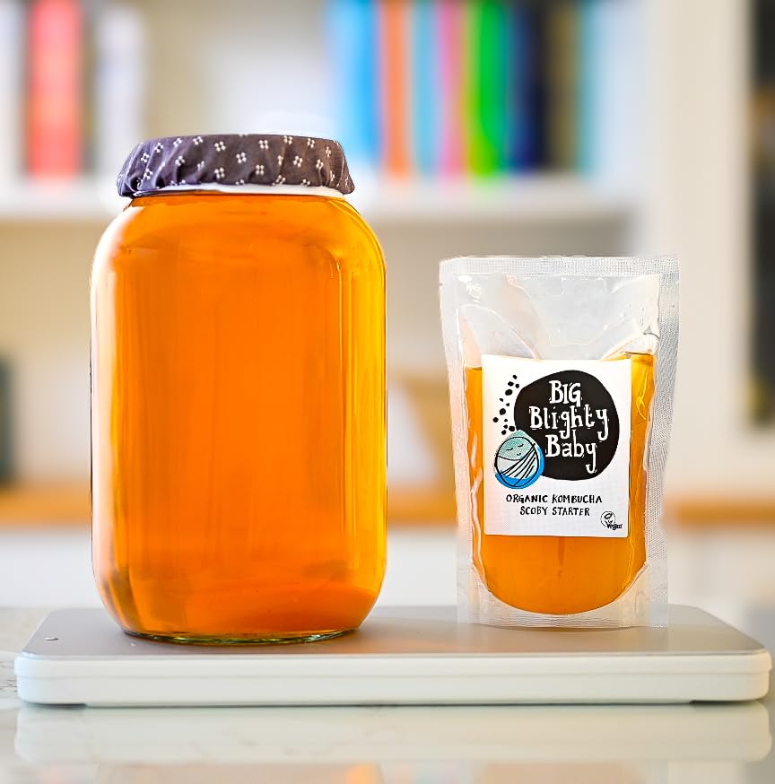 3l Organic Big Blighty Booch Baby Kombucha Scoby and Orange Pekoe Blighty Brew Starter Tea.