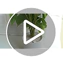 Mkono Fake Plants in Ceramic Pot, 11" Potted Artificial Plants for Home Decor Indoor Faux Green Leaf Plant with Modern White Planter for Desk Shelf Office Room Decoration (Pothos)