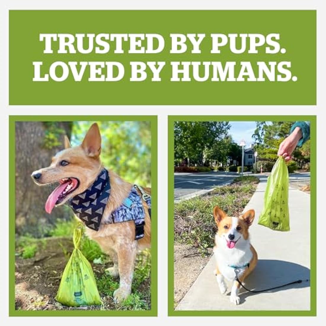 Pogi’s Dog Poo Bags with Handles – Extra Thick, Leak-Proof, Large, Fresh Scented, 900-Count