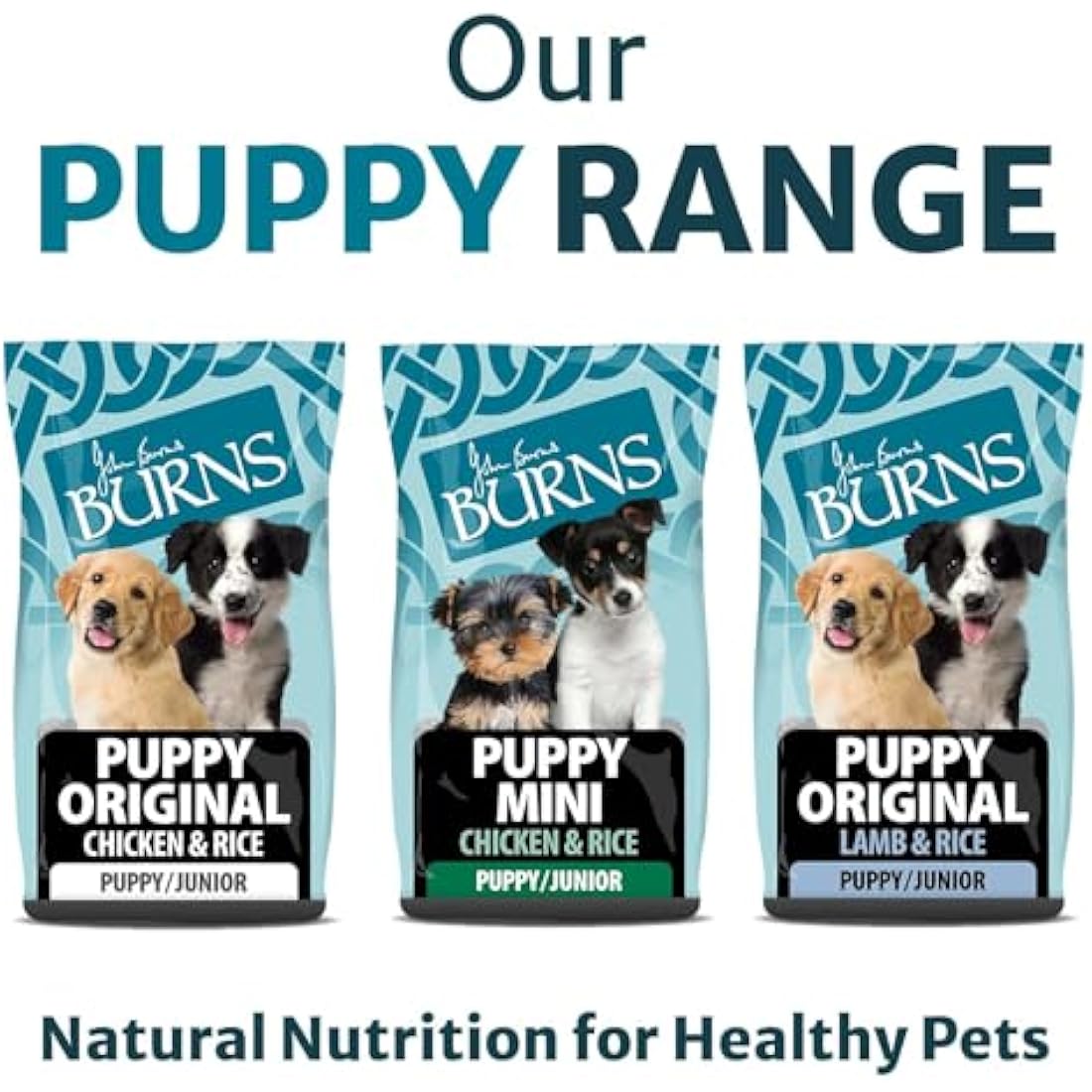 Burns Pet Nutrition Hypoallergenic Complete Dry Dog Food Puppy Original Chicken and Rice 12 kg