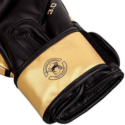 Venum, Challenger 3.0 Boxing Gloves, Unisex Adult, 10 Oz, Black/Gold
