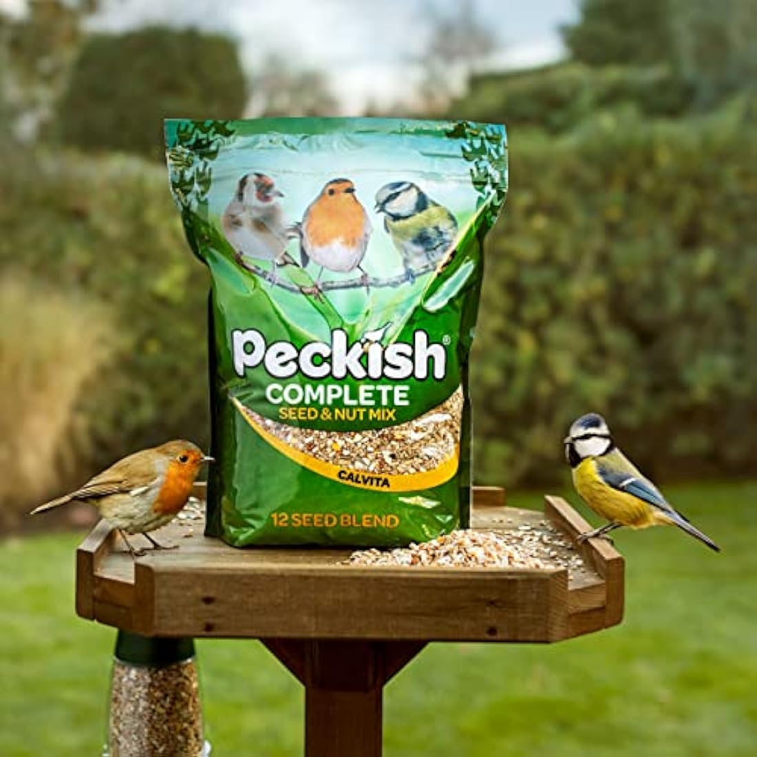 Peckish Complete Seed & Nut Mix for Wild Birds - 1kg Pack