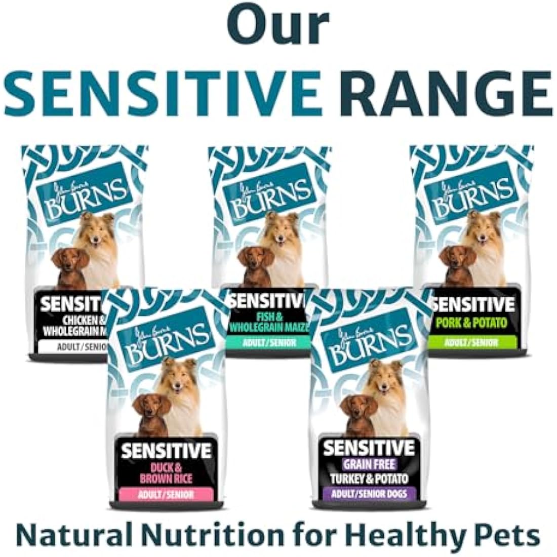 Burns Pet Nutrition Complete Dry Hypoallergenic Dog Food For Sensitive Dogs – Turkey and Potato 6 kg