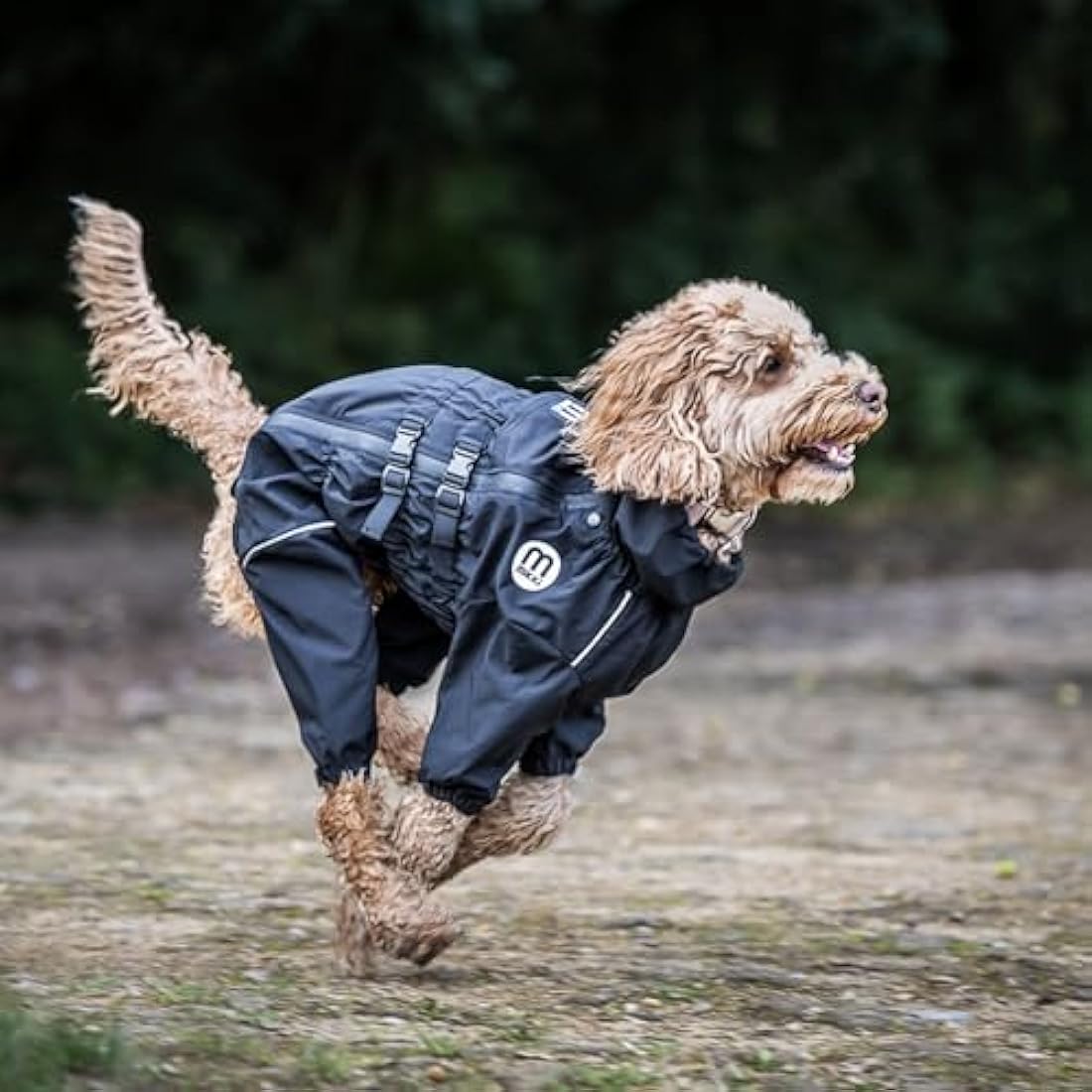 Mikki Doodles Dog Raincoat, Waterproof, Windproof, Silky Lining, Less Friction Means Less Knots & Tangles, Size Extra Large