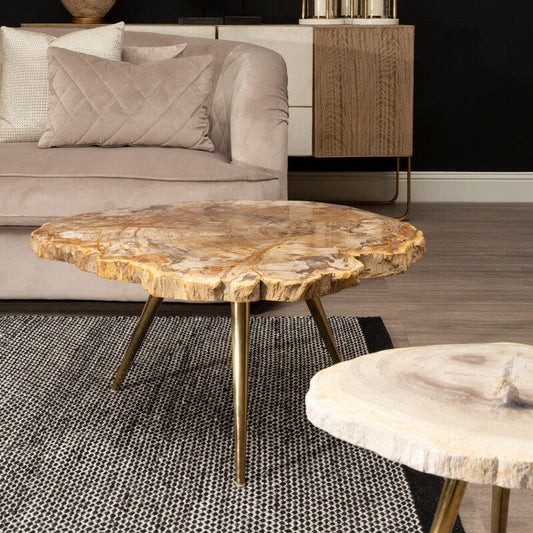 Relic Petrified Wood Coffee Table with Brass Finish Legs