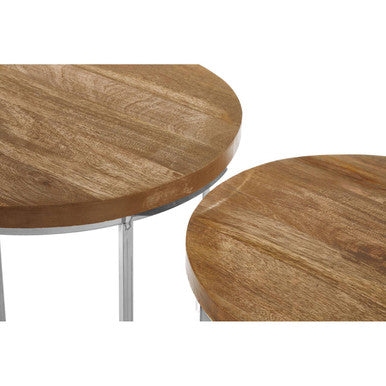 Set of 2 Natural Mango Wood Top Round Side Tables with Stainless Steel Base in Metallic Finish, Agra