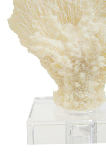 Small White Coral Decor | Boho