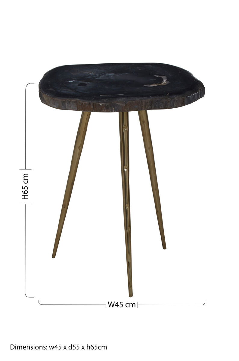 Brown Petrified Wood Top Side Table with Brass Finish Angular Legs, Relic