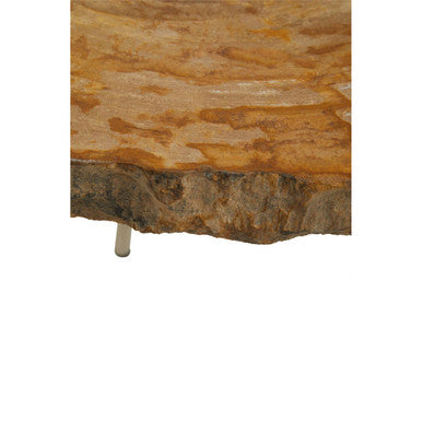 Natural Medium Rustic Petrified Wood Top Side Table with Silver Finish Metal Frame, Relic