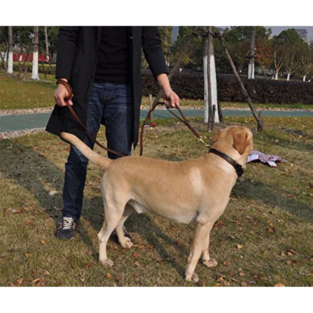 JYHY Leather Dog Leash with Double Handle - 6 ft Long & 5/8" Wide Braided Genuine Leather Dog Leash for Large, Medium & Small Dogs Training & Walking
