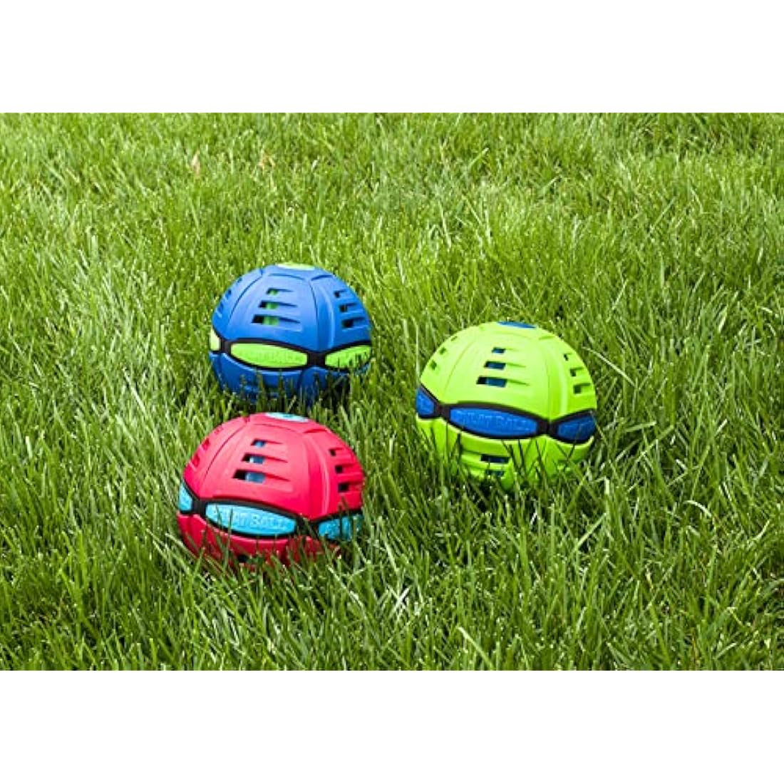 Phlat Ball WAHU Large (23cm) | Throw a Disc... Catch a Ball | Outdoor Garden Toy | Ages 5+