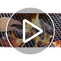 Fyfjur BBQ Cleaning Wire Brush, Bbq Cleaner, grill brush, BBQ Oven Cleaner, 2 in 1 Pointed Tail Wire BBQ Brush + Stainless Steel Curl Grill Brush Barbecue Cleaning Kit(Black)