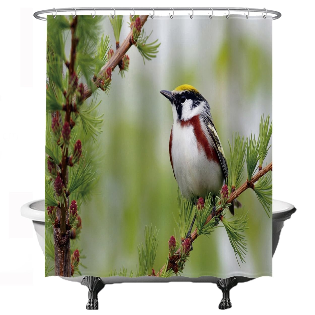 Ulticool Shower Curtain - Bird on Branch Tree Natural - 180 x 200 cm - Washable - Anti-Mould - with 12 Rings - Green