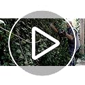 WORX Nitro 18V(20V MAX) Cordless Hedge Trimmers WG263E.9, PowerShare, Brushless, 54cm Cutting Length, Max. 27mm Cut Capacity, Safe and Easy to Use, without Battery and Charger