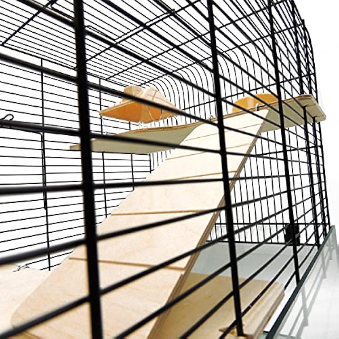 Little Friends Savoy Gerbilarium Cage with Accessories, 58.5 x 38 x 47.5 cm