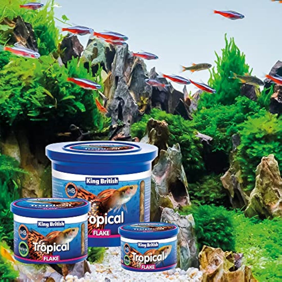 King British | Tropical Fish Flake With Immuno Health Booster | Complete Food for Tropical Fish | Helps Prevent Infection and Disease | High Protein Content | Includes Essential Vitamins | 28g