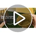 Gift Republic GR200006 : Grow It. Grow Your Own Bonsai Trees, 12.0 cm*12.0 cm*12.0 cm